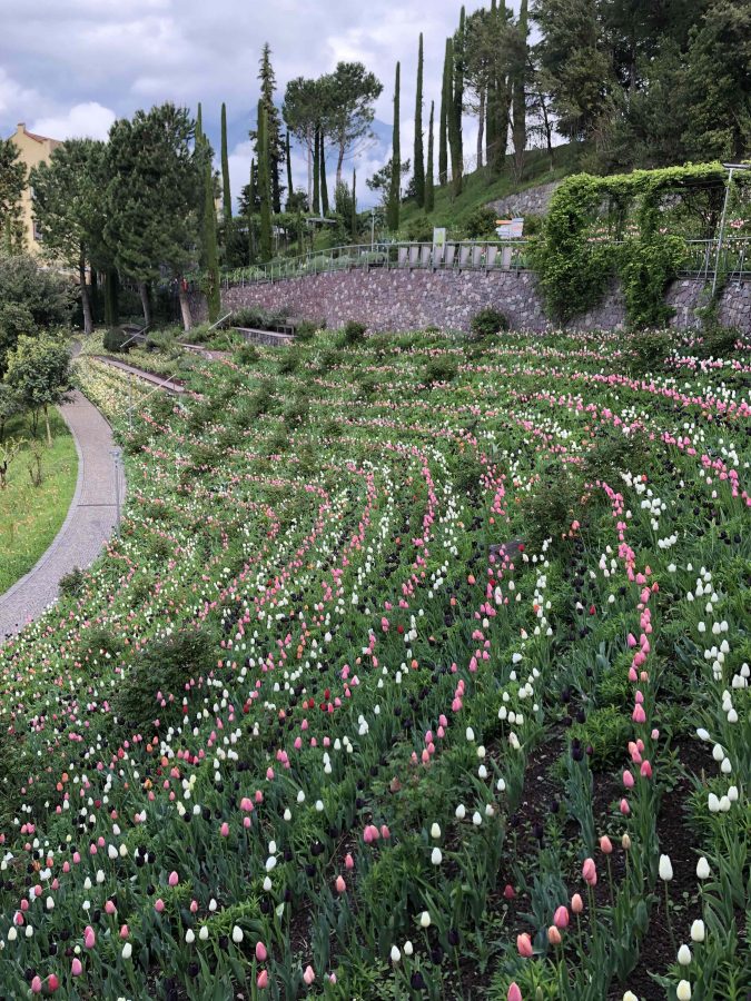 La mia esperienza al Merano Flower Festival