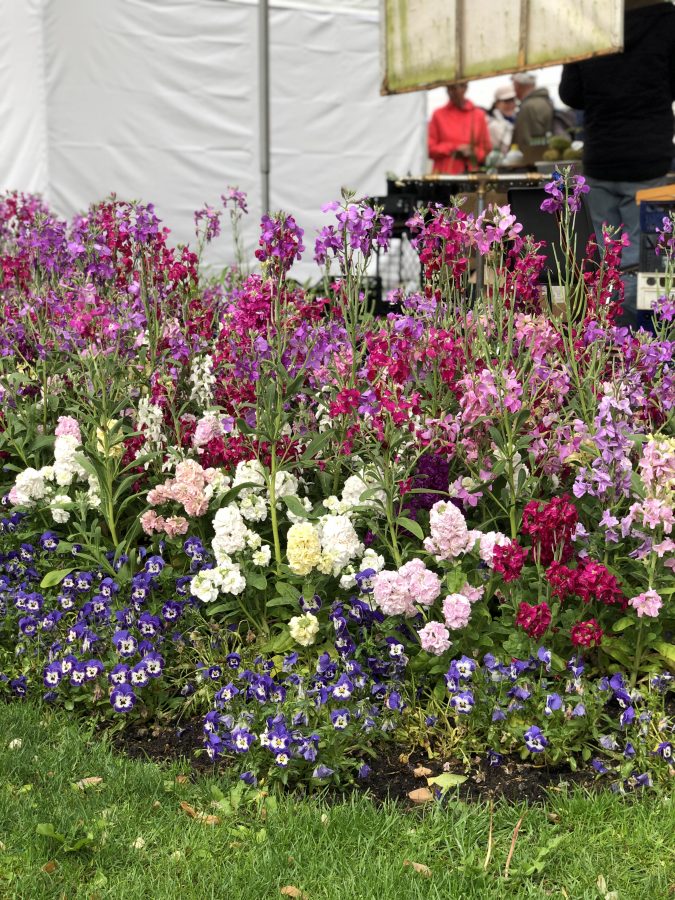 La mia esperienza al Merano Flower Festival