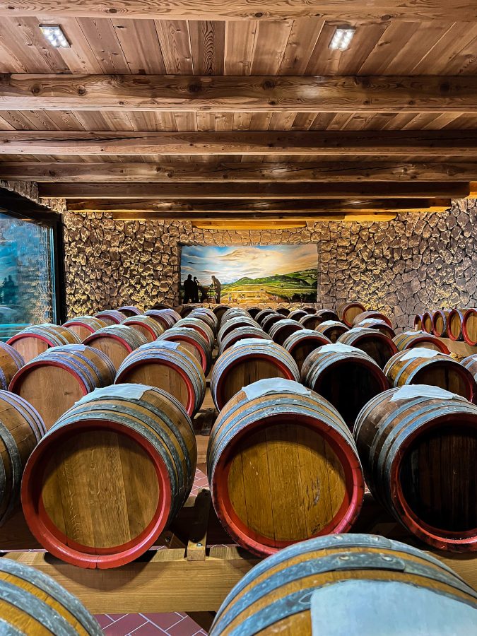 Alla scoperta dell‘oro verde del Garda Trentino: l’olio extravergine d’oliva